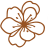 Fleur les mémoires du temps